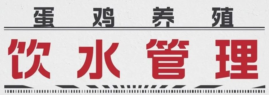 養(yǎng)雞設(shè)備